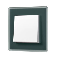 A VIVA Выключатель 1-клавишный, клавиша белый/Рамка 1-ная, стекло цвет Изумруд, Jung A VIVA Выключатель 1-клавишный, клавиша белый/Рамка 1-ная, стекло цвет Изумруд, Jung