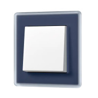 A VIVA Выключатель 1-клавишный, клавиша белый/Рамка 1-ная, стекло цвет Синий, Jung A VIVA Выключатель 1-клавишный, клавиша белый/Рамка 1-ная, стекло цвет Синий, Jung