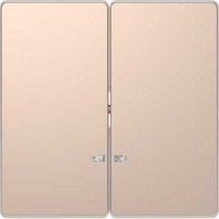 D-Life Клавиша 2-ная с линзой для LED-модуля, шампань D-Life Клавиша 2-ная с линзой для LED-модуля, шампань