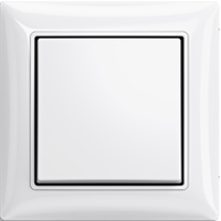 Basic 55